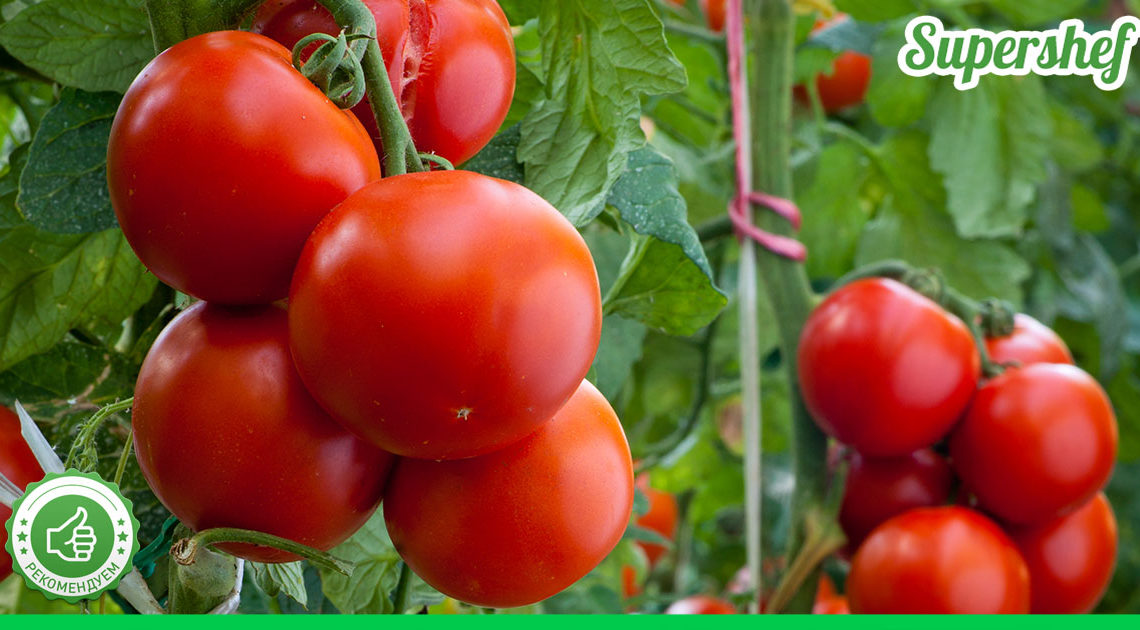 Удобрения для помидоров. 10 вариантов, что добавить в лунку