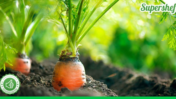 Продукты, которые нельзя есть больше положенного
