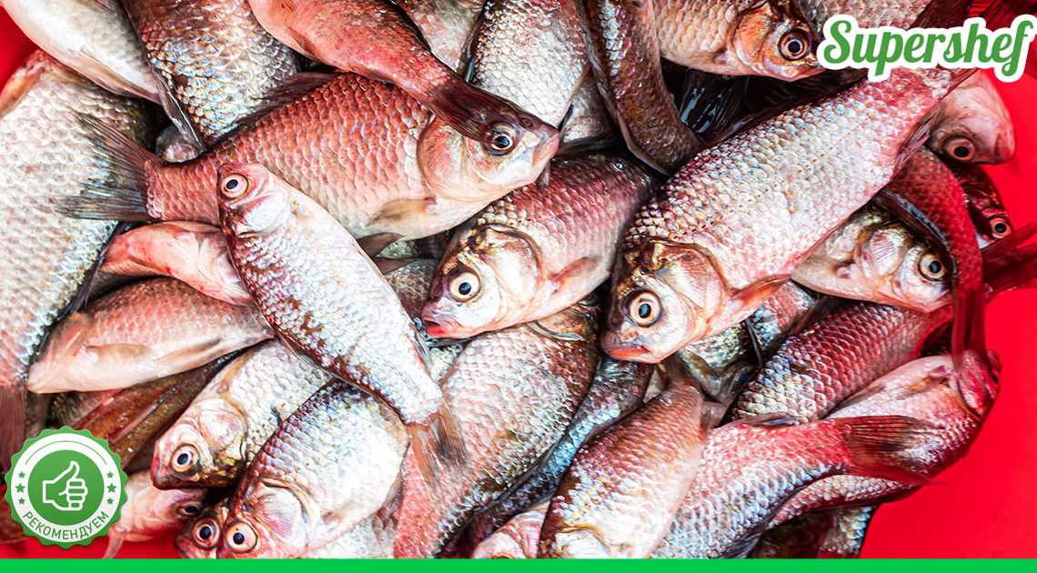 Что сделать, чтобы речная рыба не воняла тиной – секреты рыбаков