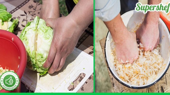 Как заквасить капусту всего за 24 часа и не добавлять при этом уксус