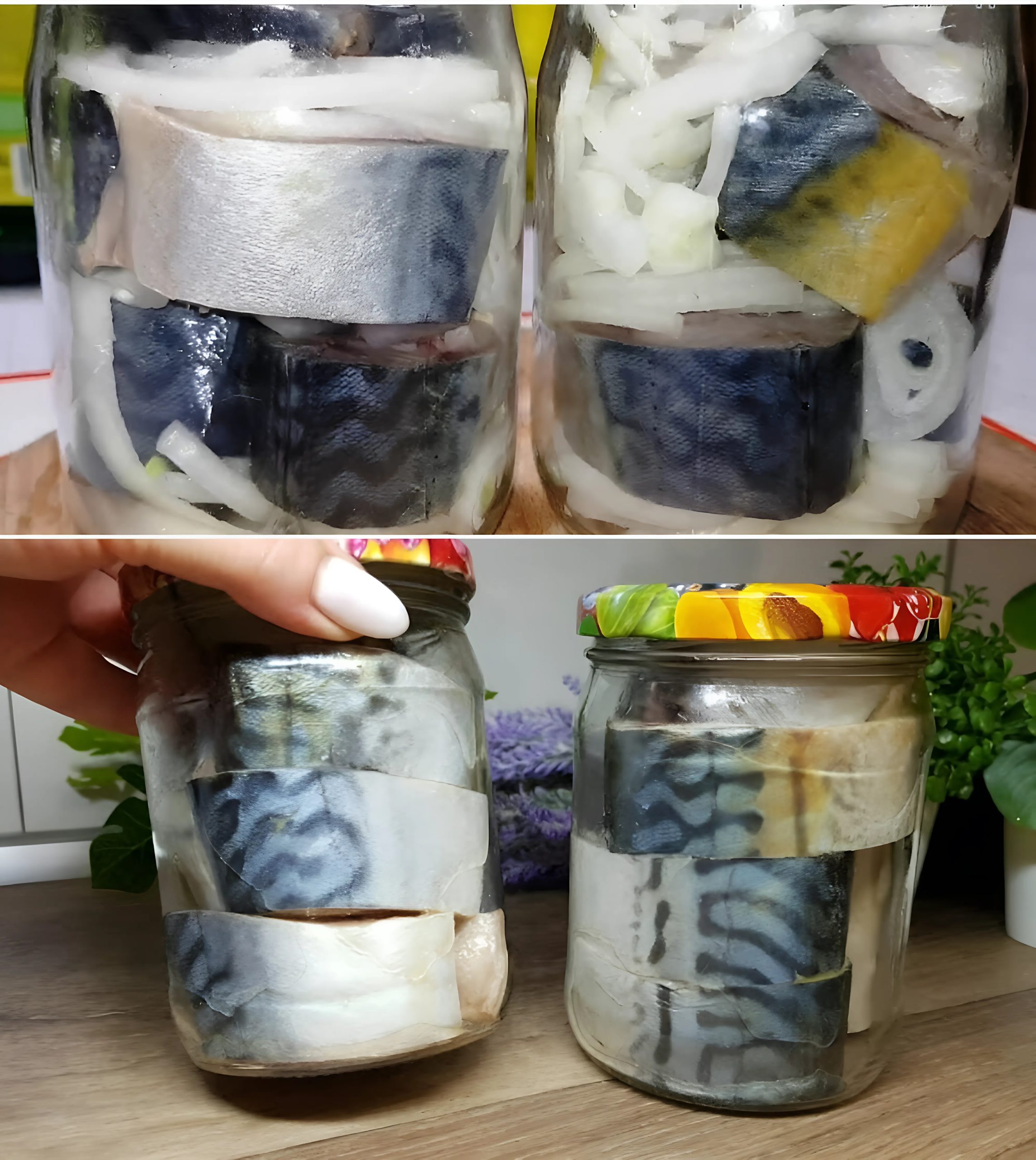 Скумбрия в банке маринованная с луком