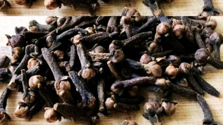 Умные хозяева используют гвоздику не только на кухне