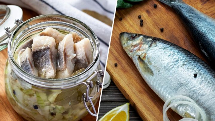 Интересный и необычный рецепт маринованной сельди: такой вкуснятины вы еще не пробовали
