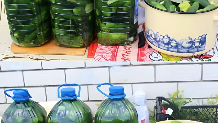 Рецепт хрустящих огурцов в бутылке