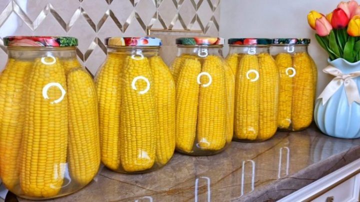 Заготавливаем кукурузу на зиму — вкус остается как у только что сваренной
