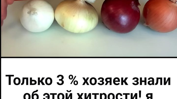 Никто и предположить не мог, что у лука есть такие способности