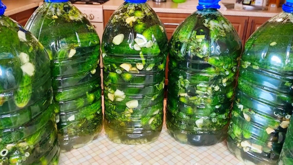 Огурцы как из бочки в пластиковых бутылках – стоят не один год Огурцы как из бочки в пластиковых бутылках – стоят не один год