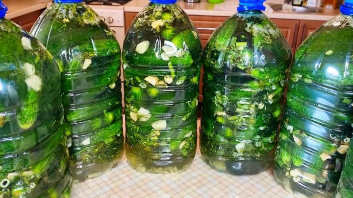 Огурцы как из бочки в пластиковых бутылках – стоят не один год