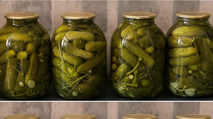 Холодное засаливание огурцов на длительное хранение. Без уксуса и кипятка