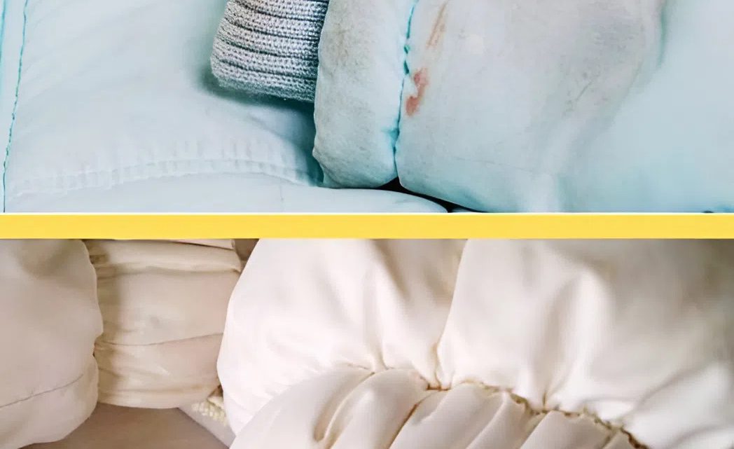 Больше не приходится заниматься стиркой пуховиков. Работники химчисток рассказали, как им удается приводить куртки в идеальное состояние