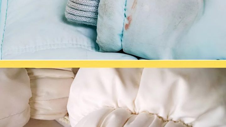 Больше не приходится заниматься стиркой пуховиков. Работники химчисток рассказали, как им удается приводить куртки в идеальное состояние